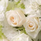 Price